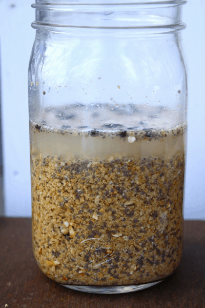 Jar of fermenting chicken feed sitting on a table