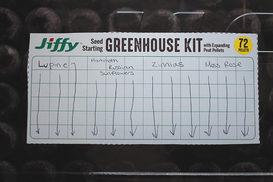 Jiffy greenhouse kit label cut out and flower names written down with arrows 