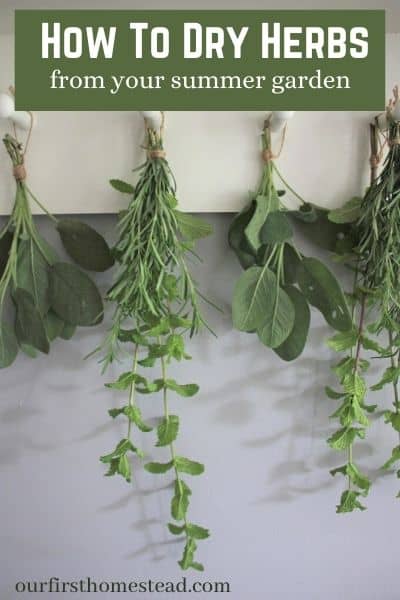 how to dry herbs from your summer garden