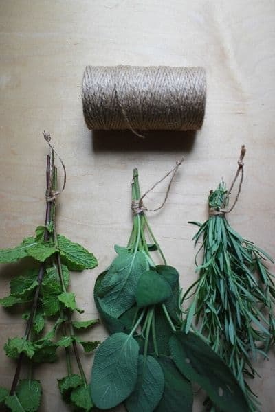 three bundles of mint, sage, and rosemary laying on a wooden bench with a role of jute twine above it