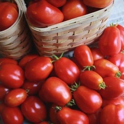 dozens of summer tomatoes piled up on a white and grey dish towel sitting next to a basket