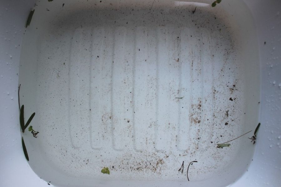 dirt and debris in a white plastic bin left over from soaking herbs